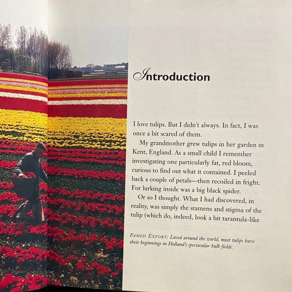 Vibrant Tulip Garden Book by Sonia Day - Picture 4 of 5